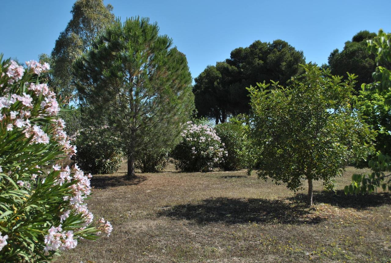 B&B Ginevra Pulsano Exterior photo